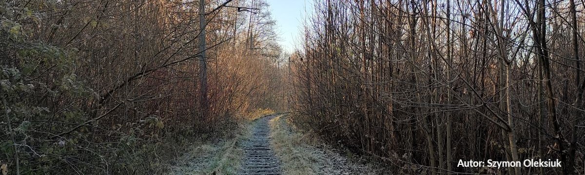 Rewitalizacja linii kolejowej nr 190 - Informacja z otwarcia ofert