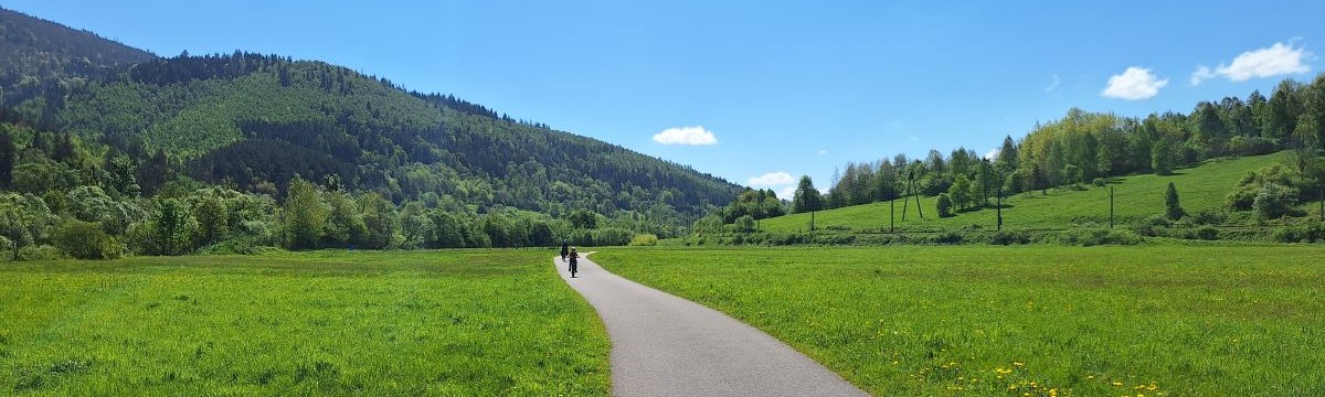 Rowerzysta na ścieżce rowerowej 