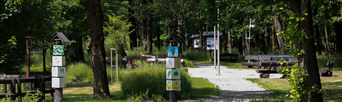 Park w Skoczowie