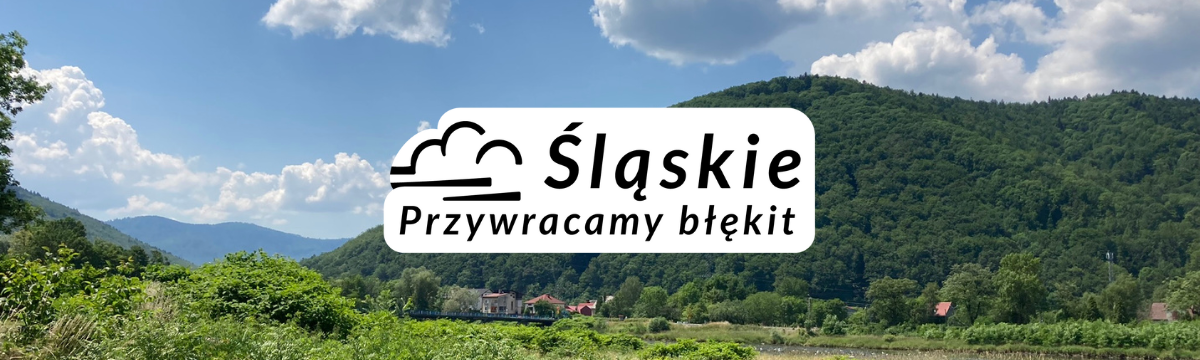 logo Śląskie. Przywracamy Błękit