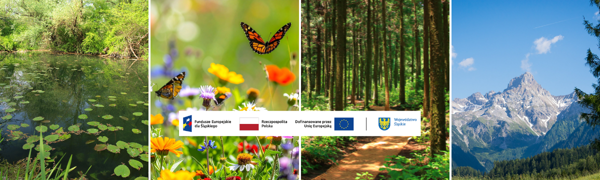 Czym jest bioróżnorodność?