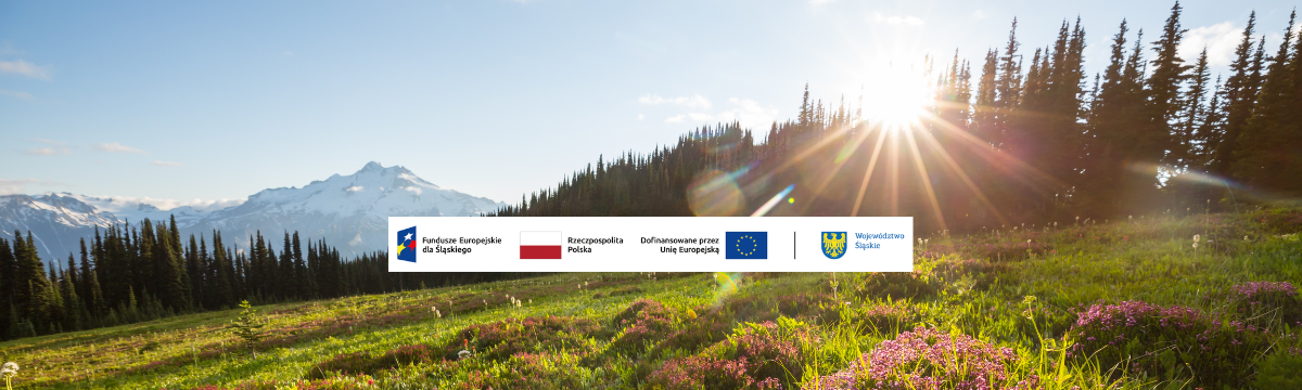 Formy ochrony przyrody