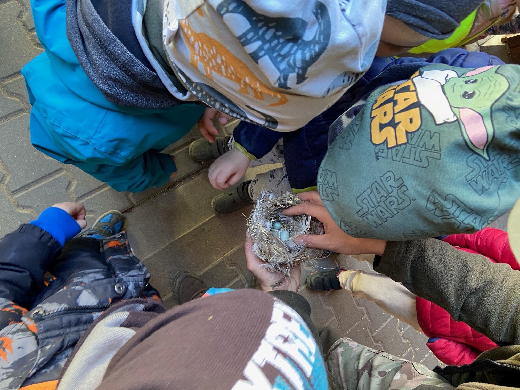 Miejskie Centrum Ekologiczne w Żywcu - zajęcia terenowe