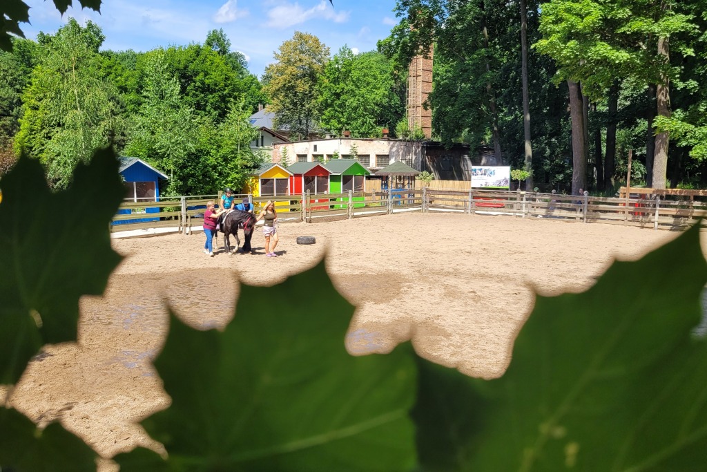 Miejskie Centrum Ekologiczne w Żywcu - zajęcia terenowe