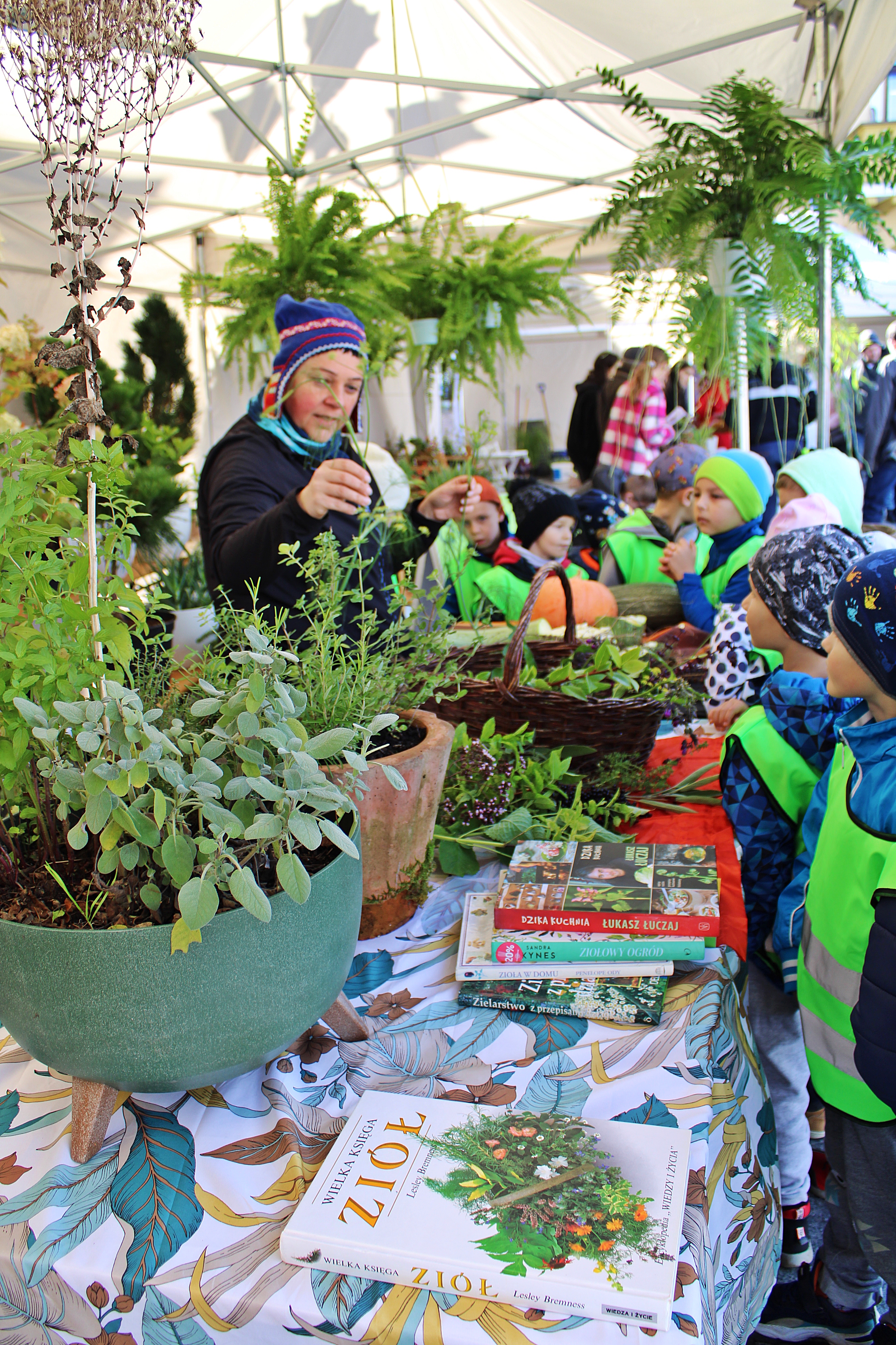 Miejskie Centrum Ekologiczne w Żywcu - zajęcia terenowe