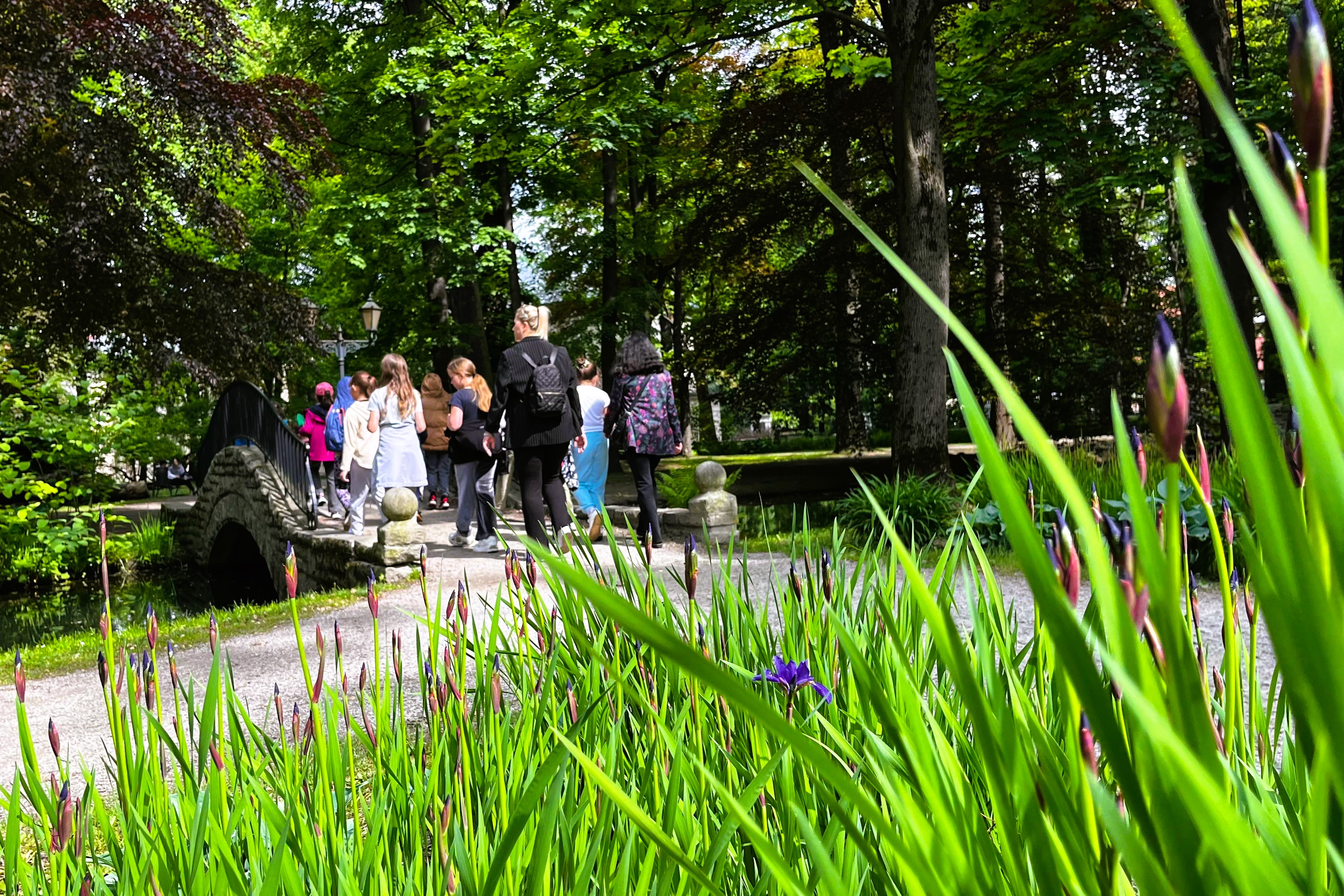 Miejskie Centrum Ekologiczne w Żywcu - zajęcia terenowe