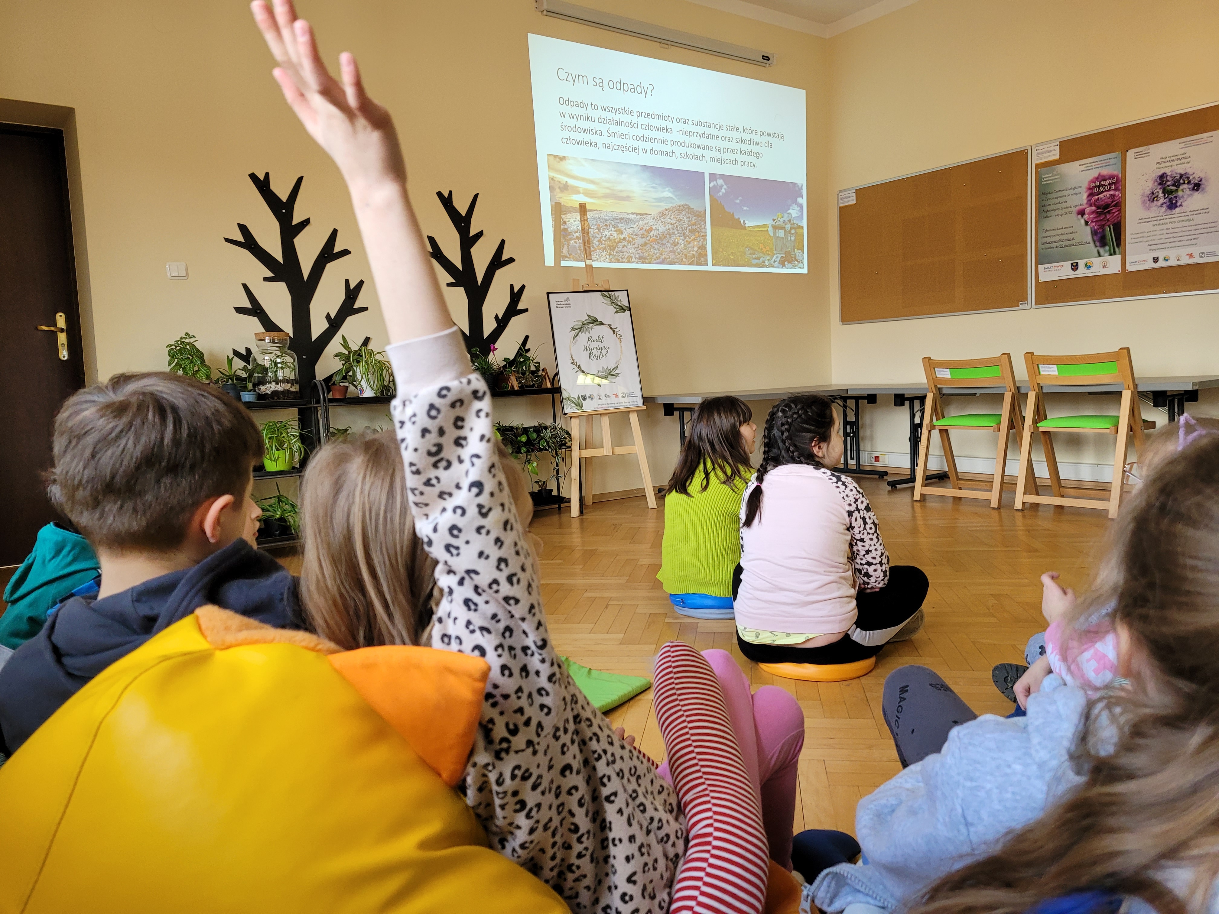 Miejskie Centrum Ekologiczne w Żywcu - zajęcia