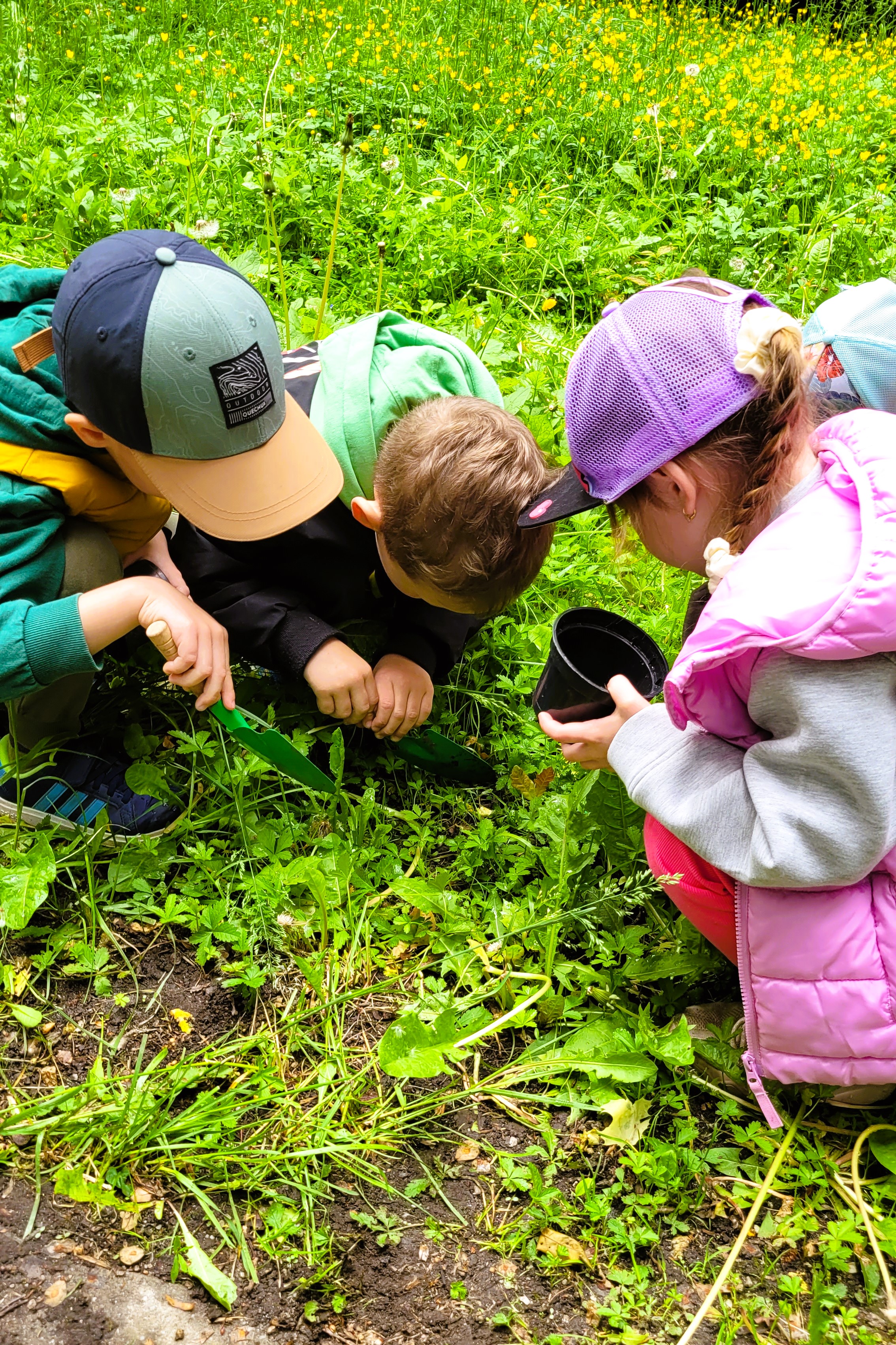 Miejskie Centrum Ekologiczne w Żywcu - zajęcia terenowe