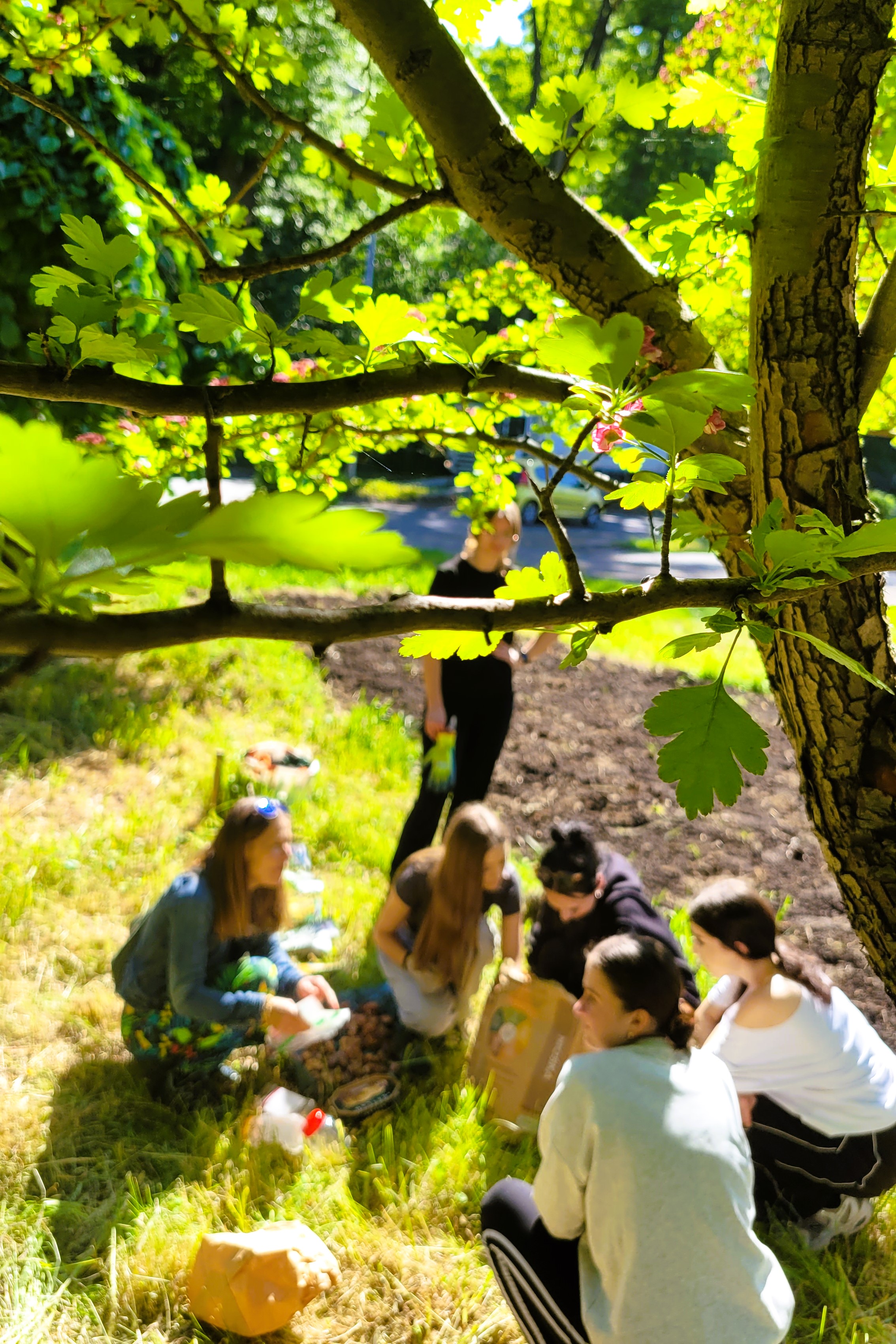 Miejskie Centrum Ekologiczne w Żywcu - zajęcia terenowe