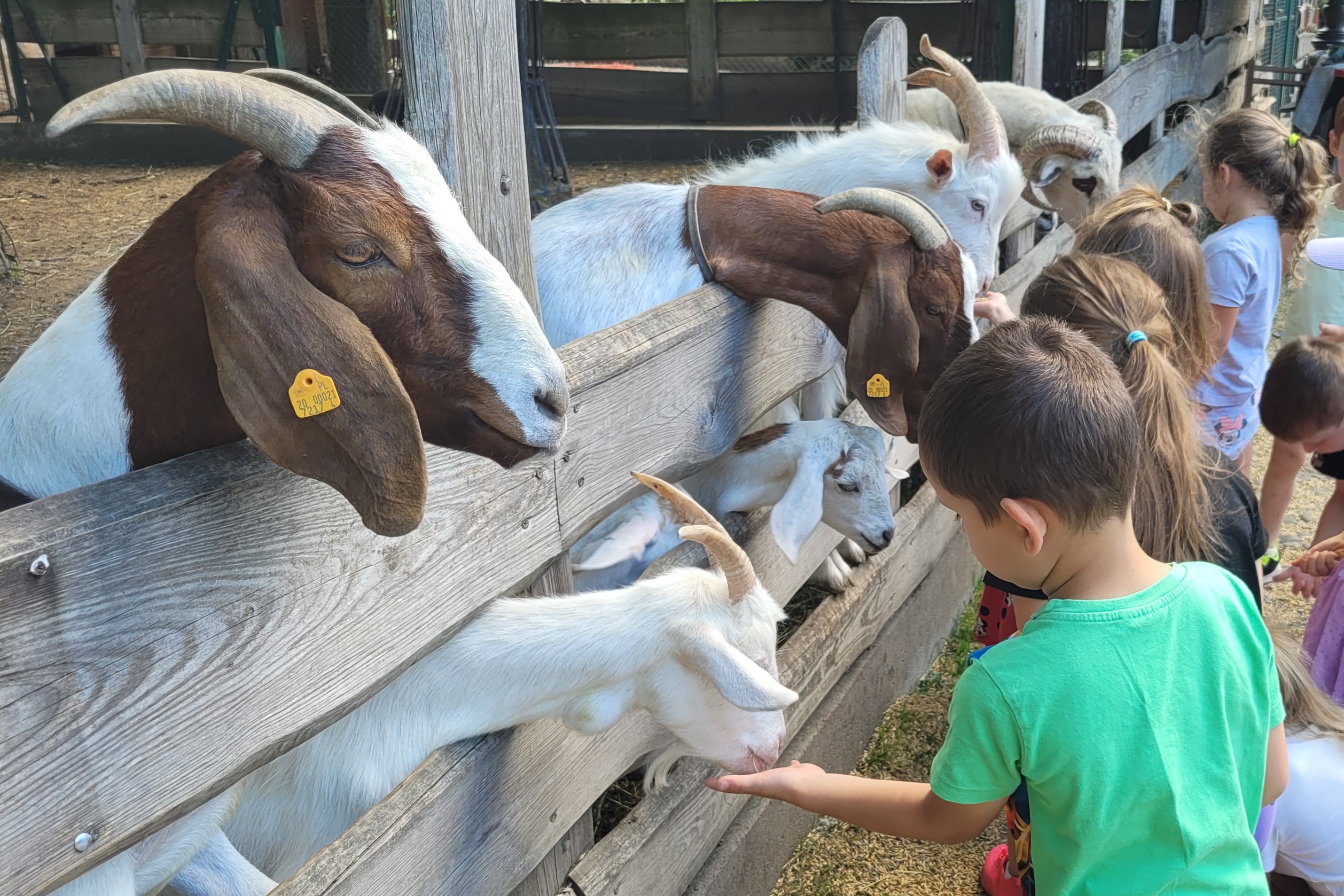 Miejskie Centrum Ekologiczne w Żywcu - zajęcia terenowe