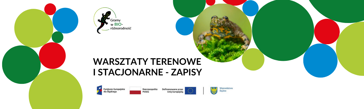 Warsztaty