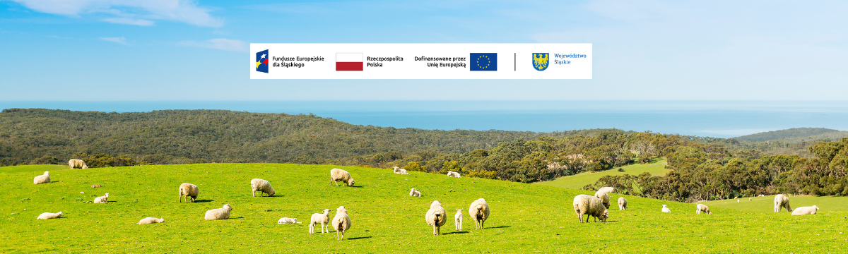 Baner kultura pasterska