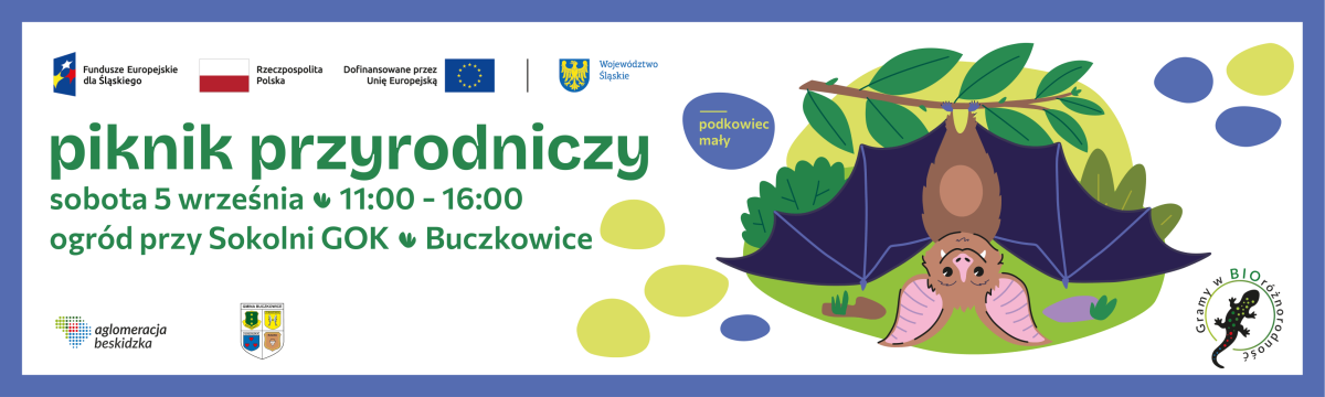 Piknik Buczkowice