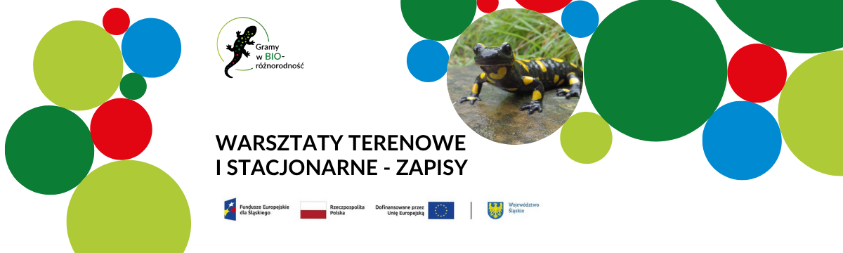 Warsztaty