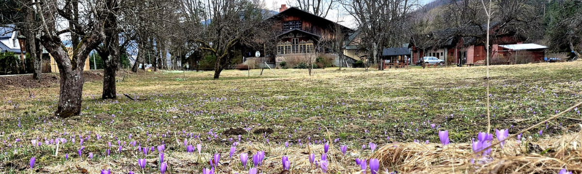 Nowa ścieżka historyczna w Gminie Ujsoły